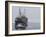 Arctic Ocean, Norway, Svalbard. Ship Asea and Polar Bear-Jaynes Gallery-Framed Photographic Print