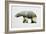 Arctic Polar Bear-Davies Babies-Framed Art Print