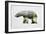 Arctic Polar Bear-Davies Babies-Framed Art Print