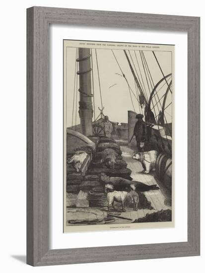 Arctic Sketches from the Pandora, Drawn on the Wood in the Polar Regions-null-Framed Giclee Print