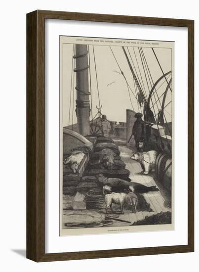 Arctic Sketches from the Pandora, Drawn on the Wood in the Polar Regions-null-Framed Giclee Print