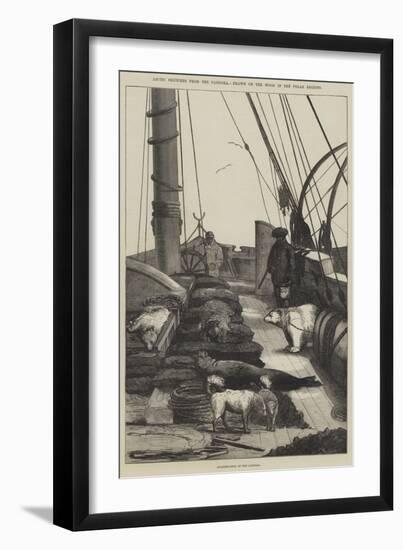 Arctic Sketches from the Pandora, Drawn on the Wood in the Polar Regions-null-Framed Giclee Print