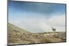 Arctic, Svalbard. Rangifer Tarandus Platyrhynchus, Male Svalbard Reindeer on Barren Tundra-David Slater-Mounted Photographic Print