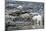 Arctic, Svalbard, Spitsbergen. A polar bear looks for harbor seals-Ellen Goff-Mounted Photographic Print