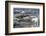 Arctic, Svalbard, Spitsbergen. A polar bear looks for harbor seals-Ellen Goff-Framed Photographic Print