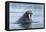 Arctic, Svalbard, Spitsbergen. Portrait of a walrus in the water.-Ellen Goff-Framed Premier Image Canvas