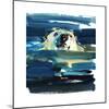 Arctic Swim, 2016-Mark Adlington-Mounted Giclee Print