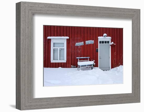 Arctic Tattoo-Philippe Sainte-Laudy-Framed Photographic Print