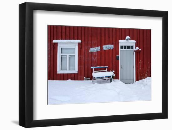 Arctic Tattoo-Philippe Sainte-Laudy-Framed Photographic Print