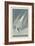 Arctic Tern, 1835-John James Audubon-Framed Giclee Print