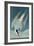 Arctic Tern, from 'Birds of America', Engraved by Robert Havell (1793-1878) Published 1835-John James Audubon-Framed Giclee Print