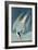 Arctic Tern, from 'Birds of America', Engraved by Robert Havell (1793-1878) Published 1835-John James Audubon-Framed Giclee Print