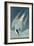 Arctic Tern, from 'Birds of America', Engraved by Robert Havell (1793-1878) Published 1835-John James Audubon-Framed Giclee Print