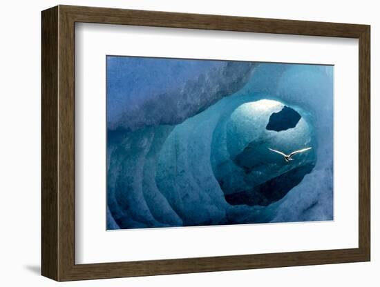 Arctic tern in an Ice Tunnel, Iceland-Art Wolfe-Framed Photographic Print