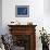 Arctic Tern in Flight, Snafelsness Peninsula, West Iceland-Inaki Relanzon-Framed Photographic Print displayed on a wall