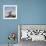 Arctic Terns (Sterna Paradisaea), Flatey Island, Breidafjordur, Iceland-null-Framed Photographic Print displayed on a wall