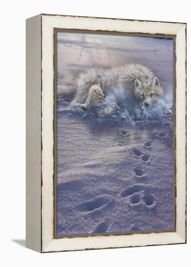 Arctic Tracks-Gordon Semmens-Framed Premier Image Canvas