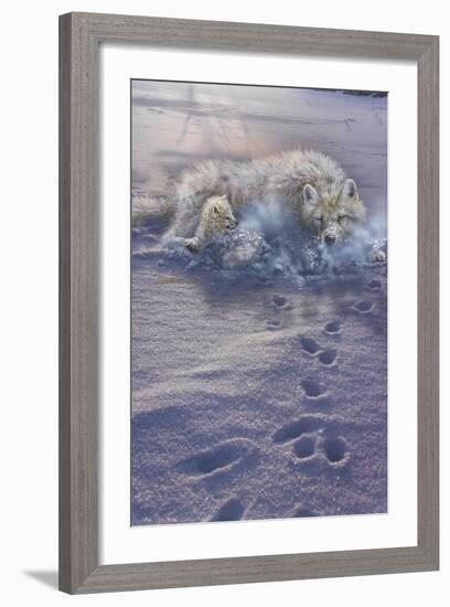 Arctic Tracks-Gordon Semmens-Framed Giclee Print