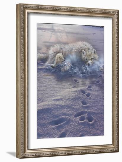 Arctic Tracks-Gordon Semmens-Framed Giclee Print