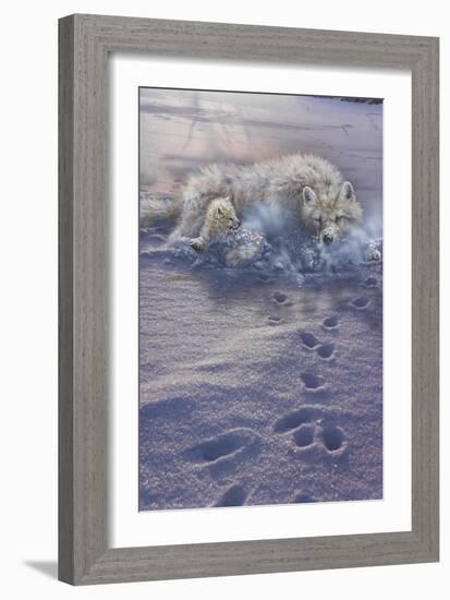 Arctic Tracks-Gordon Semmens-Framed Giclee Print