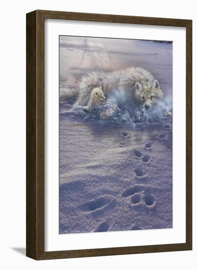 Arctic Tracks-Gordon Semmens-Framed Giclee Print
