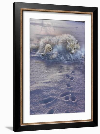 Arctic Tracks-Gordon Semmens-Framed Giclee Print