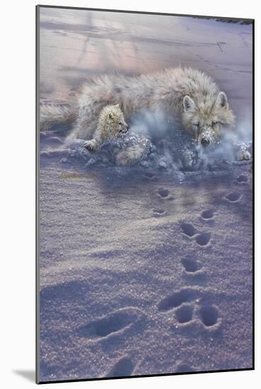 Arctic Tracks-Gordon Semmens-Mounted Giclee Print