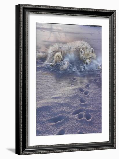 Arctic Tracks-Gordon Semmens-Framed Giclee Print