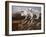 Arctic Warriors-Trevor V. Swanson-Framed Giclee Print