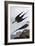 Arctic Yager-John James Audubon-Framed Art Print