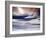 Arctic-Ursula Abresch-Framed Photographic Print