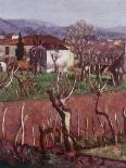 Farmhouse (Casa Colonica)-Ardengo Soffici-Framed Giclee Print