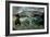 Ardennes 6941-Pol Ledent-Framed Art Print