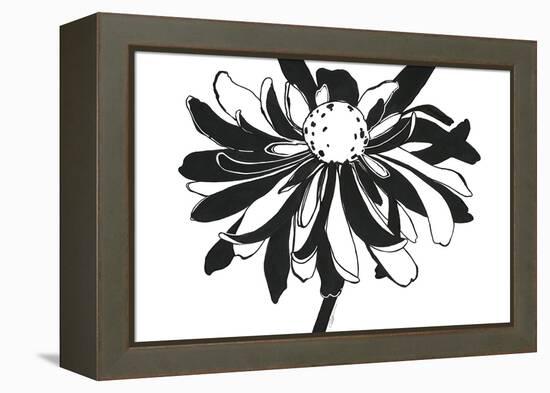 Ardent Bloom-Filippo Ioco-Framed Stretched Canvas