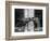 Ardent Haven and Old Glory, Horses at the Bill Roach Stables at Lambourn-null-Framed Photographic Print