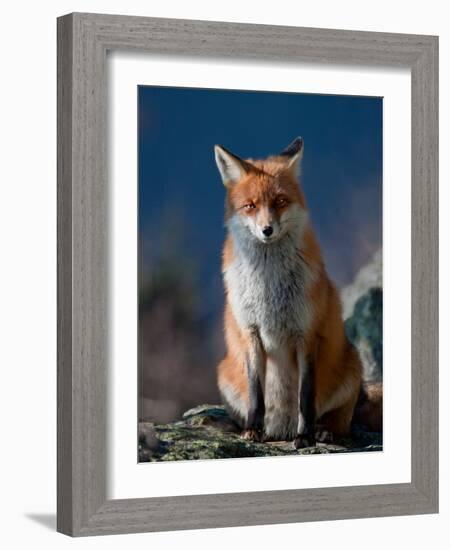 Are You My Friend Or Not?-Peter Svoboda-Framed Photographic Print