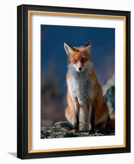 Are You My Friend Or Not?-Peter Svoboda-Framed Photographic Print