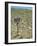 Area 51 UFO Site-Detlev Van Ravenswaay-Framed Photographic Print