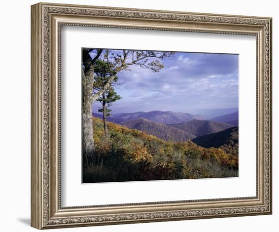Area Near Loft Mountain, Shenandoah National Park, Virginia, USA-James Green-Framed Photographic Print