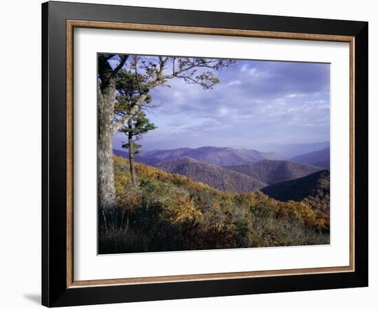 Area Near Loft Mountain, Shenandoah National Park, Virginia, USA-James Green-Framed Photographic Print