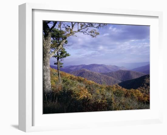 Area Near Loft Mountain, Shenandoah National Park, Virginia, USA-James Green-Framed Photographic Print