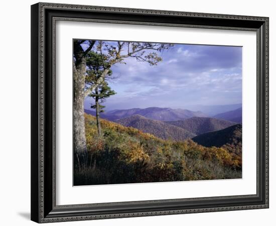 Area Near Loft Mountain, Shenandoah National Park, Virginia, USA-James Green-Framed Photographic Print