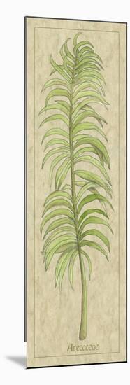 Arecaceae Leaf-Alicia Ludwig-Mounted Art Print