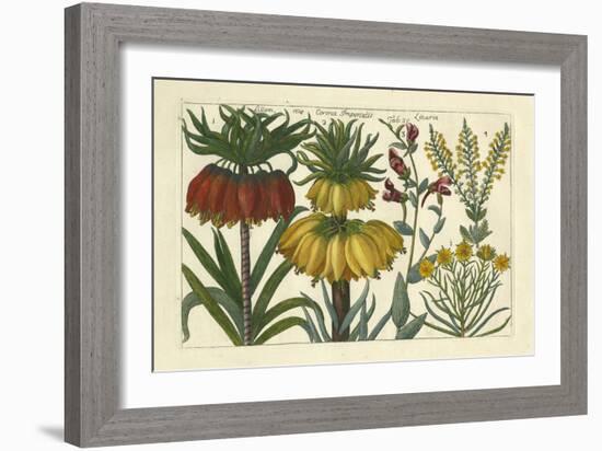 Arena Botanical I-Arena-Framed Premium Giclee Print