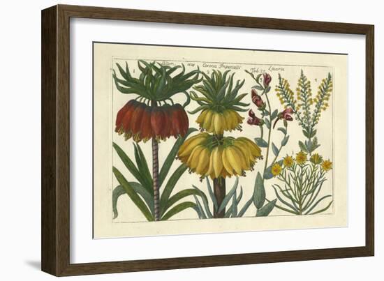 Arena Botanical I-Arena-Framed Premium Giclee Print