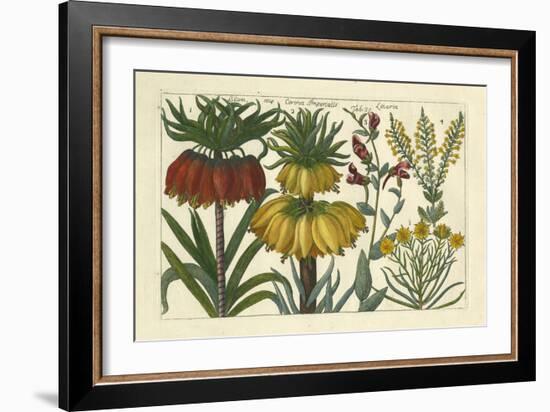 Arena Botanical I-Arena-Framed Premium Giclee Print