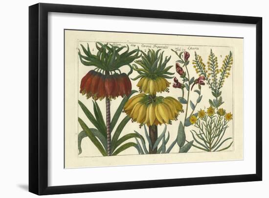 Arena Botanical I-Arena-Framed Art Print