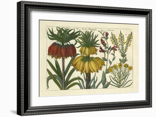 Arena Botanical I-Arena-Framed Art Print