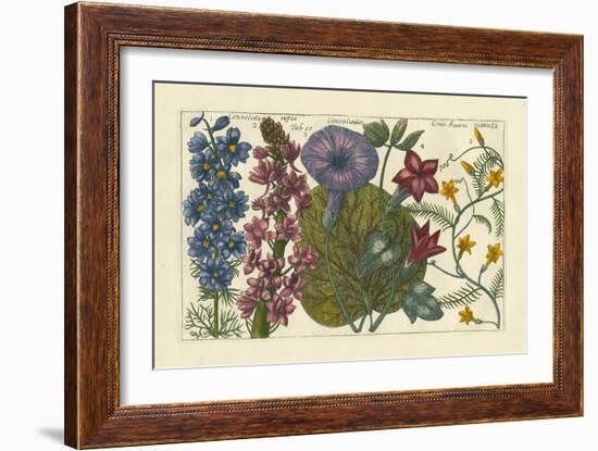 Arena Botanical IV-Arena-Framed Art Print