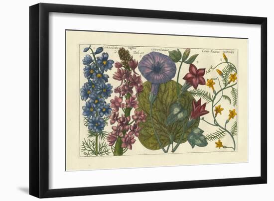 Arena Botanical IV-Arena-Framed Art Print